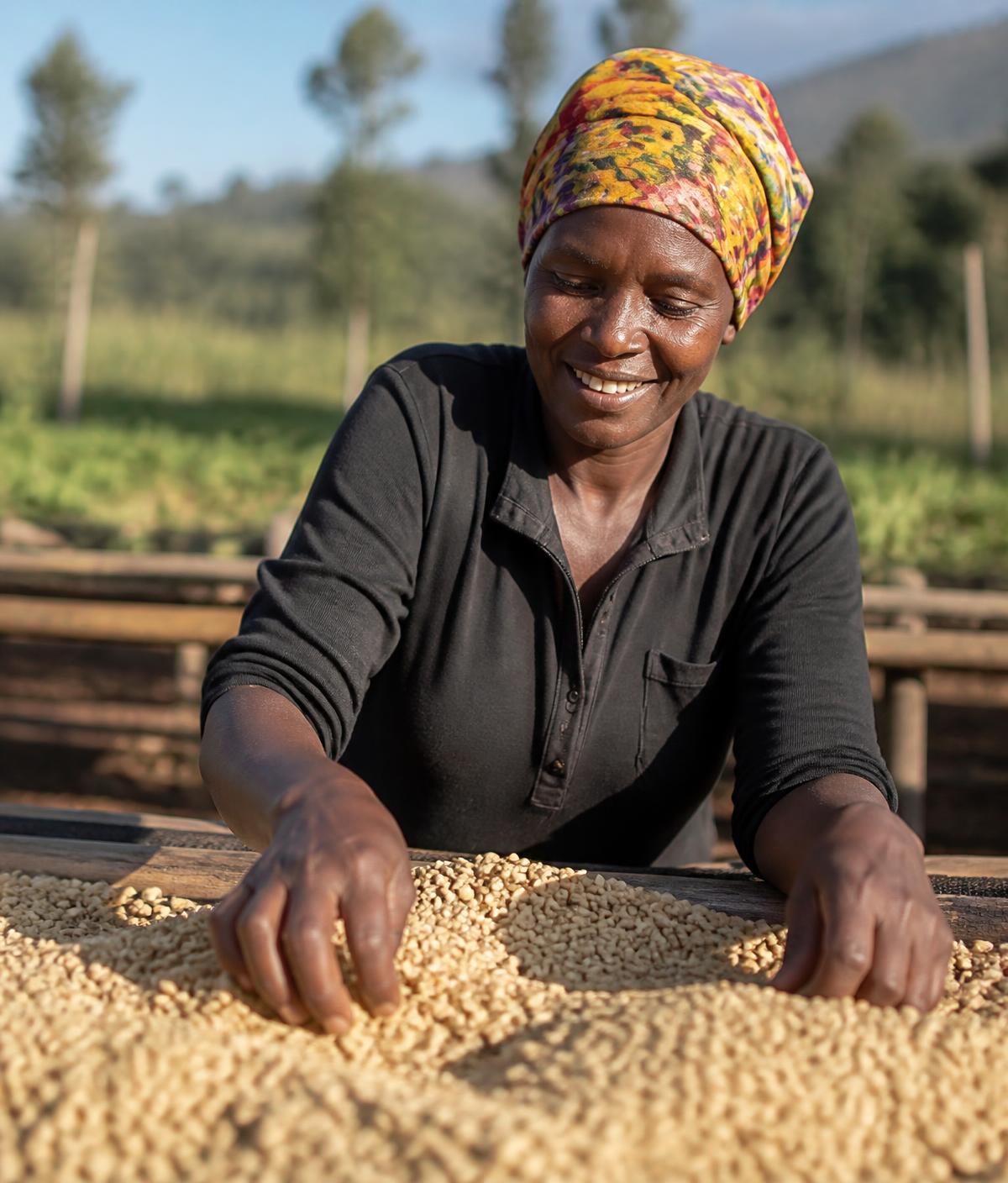A farmer in Inomo, Kwania District, tending Eden Coffee